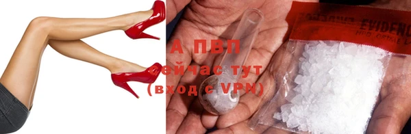 стаф Бронницы